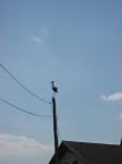 Picture 059
